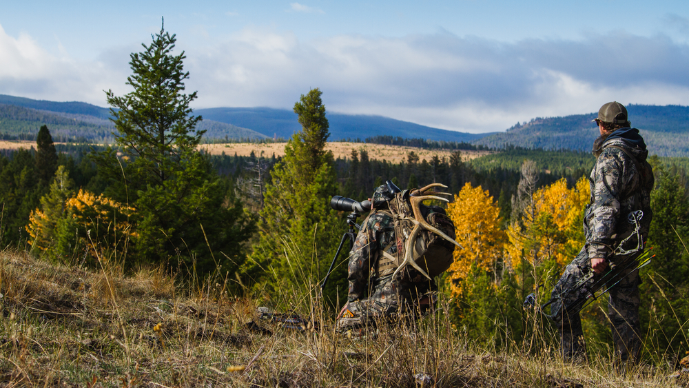 Compound Bow Buying Guide: Bow Hunting with a Compound Bow