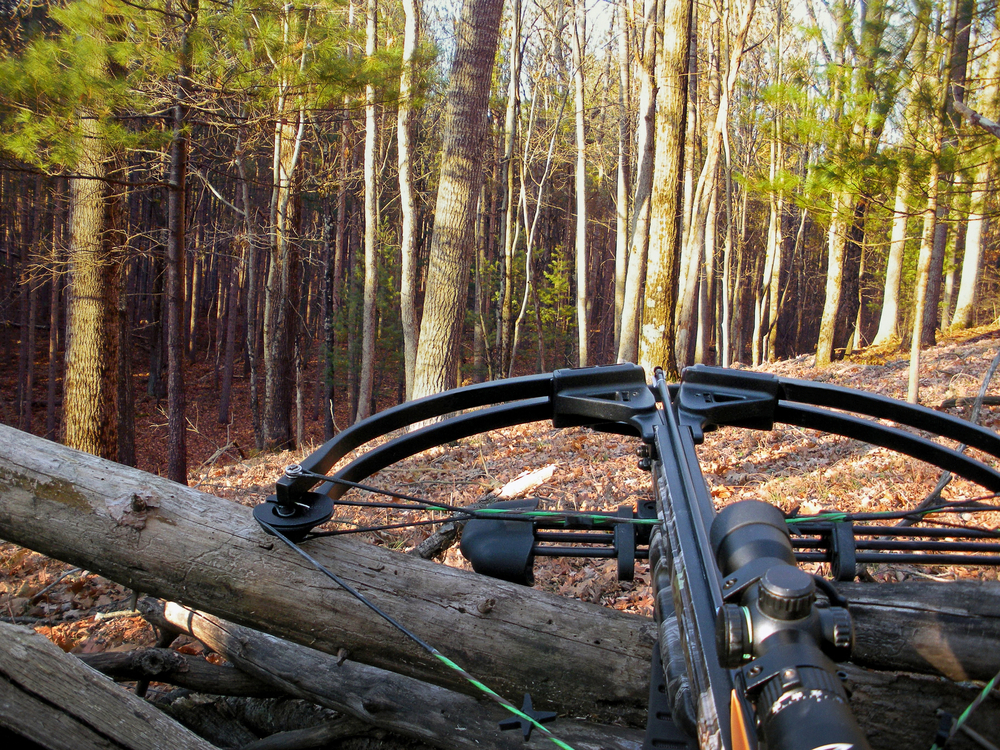 crossbow buying guide - recurve crossbow