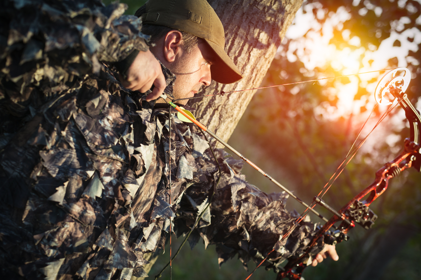 bowhunting deer
