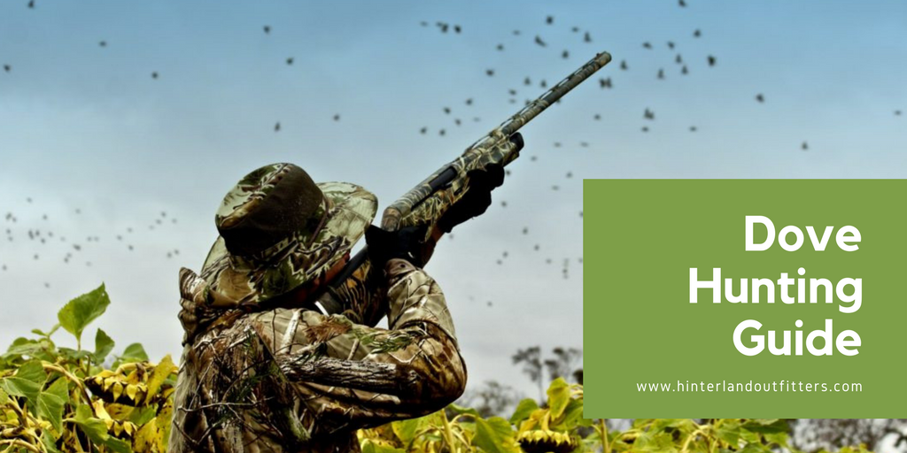 dove hunting tips