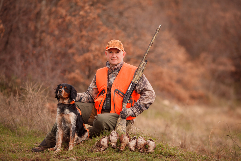 dove hunting