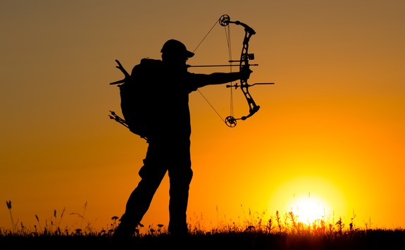 Difference between crossbow and compound bow | 50